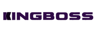 KINGBOSS