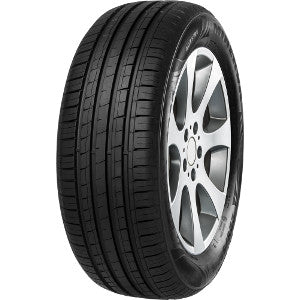 MINERVA F209 205/70 R14